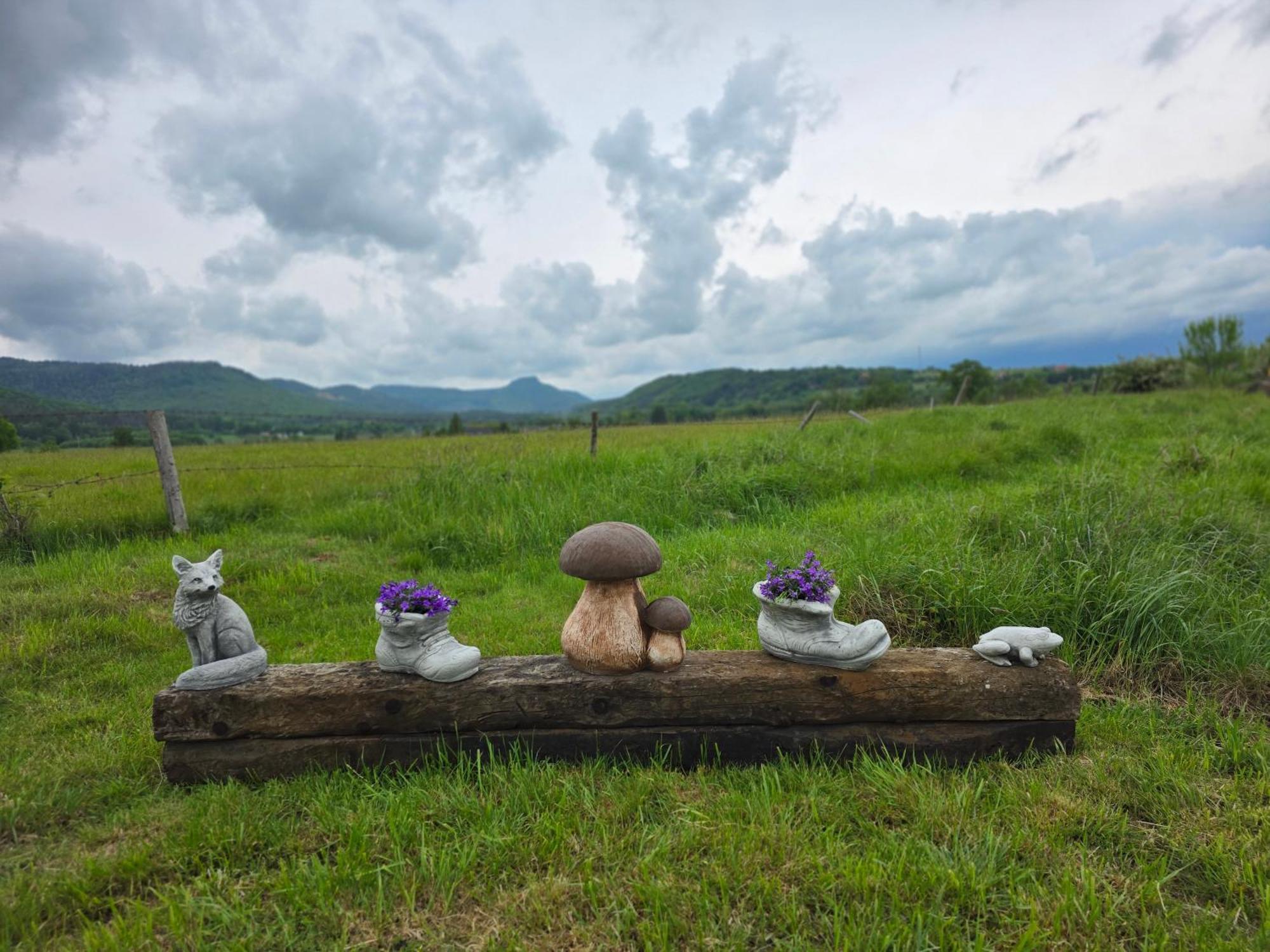 Wataha Pod Basztami - Alfa - Domki Caloroczne ラトクフ エクステリア 写真